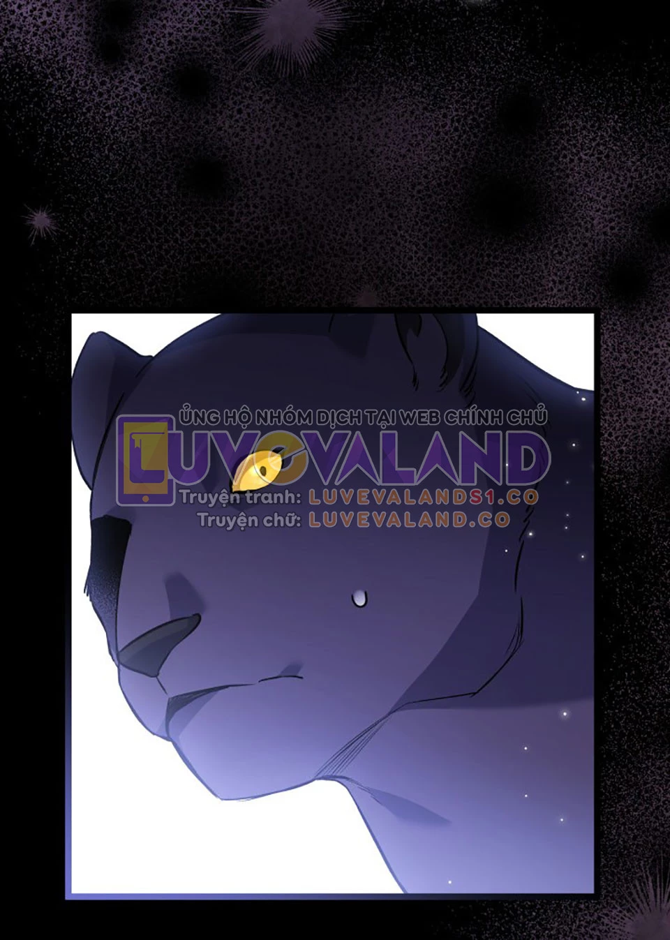 Mối Liên Kết Giữa Báo Đen Và Bé Thỏ Chapter 115 - Trang 2