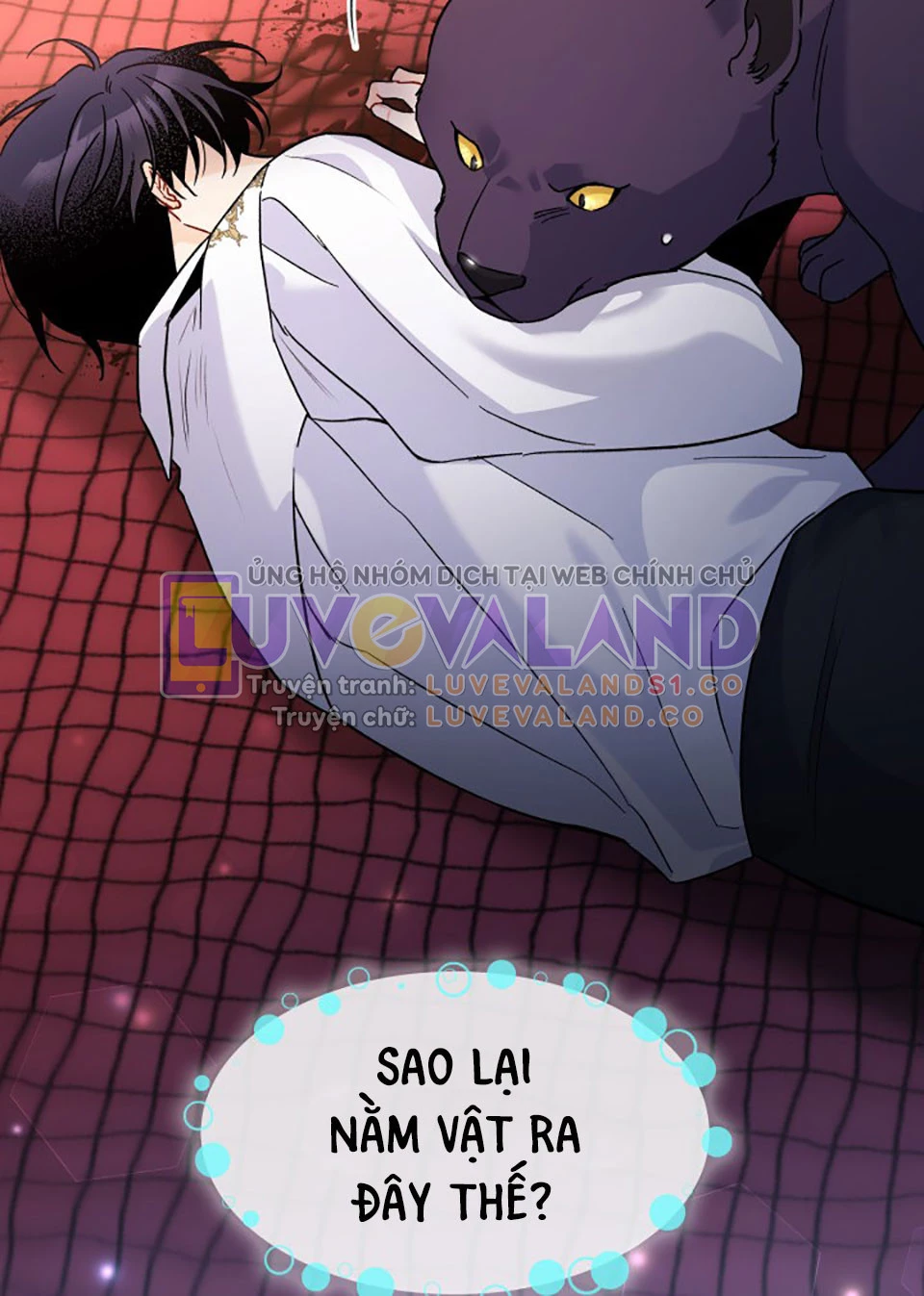 Mối Liên Kết Giữa Báo Đen Và Bé Thỏ Chapter 115 - Trang 2