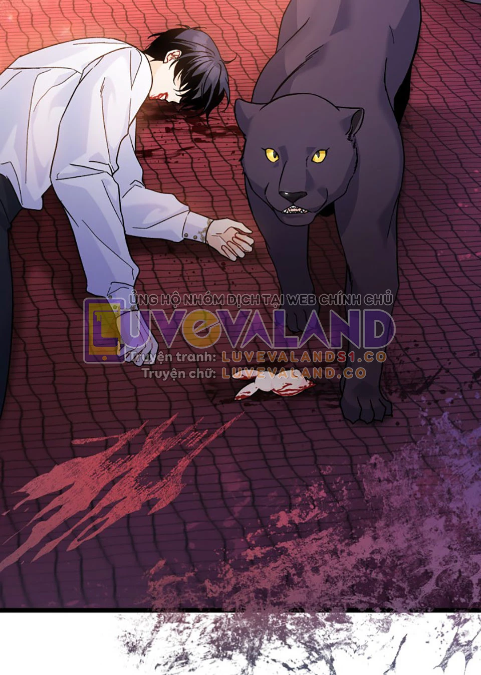 Mối Liên Kết Giữa Báo Đen Và Bé Thỏ Chapter 115 - Trang 2