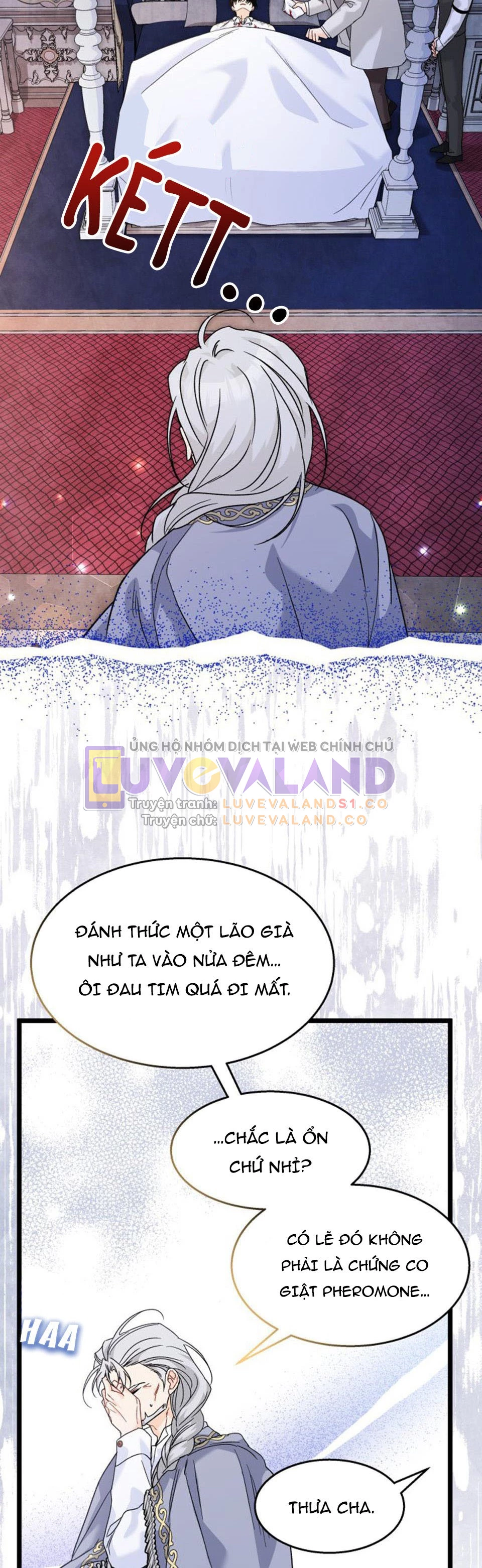 Mối Liên Kết Giữa Báo Đen Và Bé Thỏ Chapter 116 - Trang 2