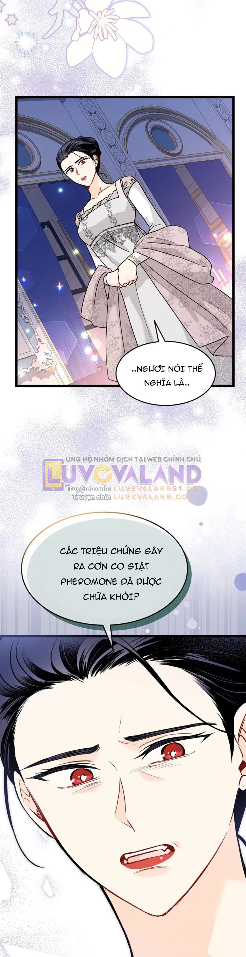 Mối Liên Kết Giữa Báo Đen Và Bé Thỏ Chapter 116 - Trang 2