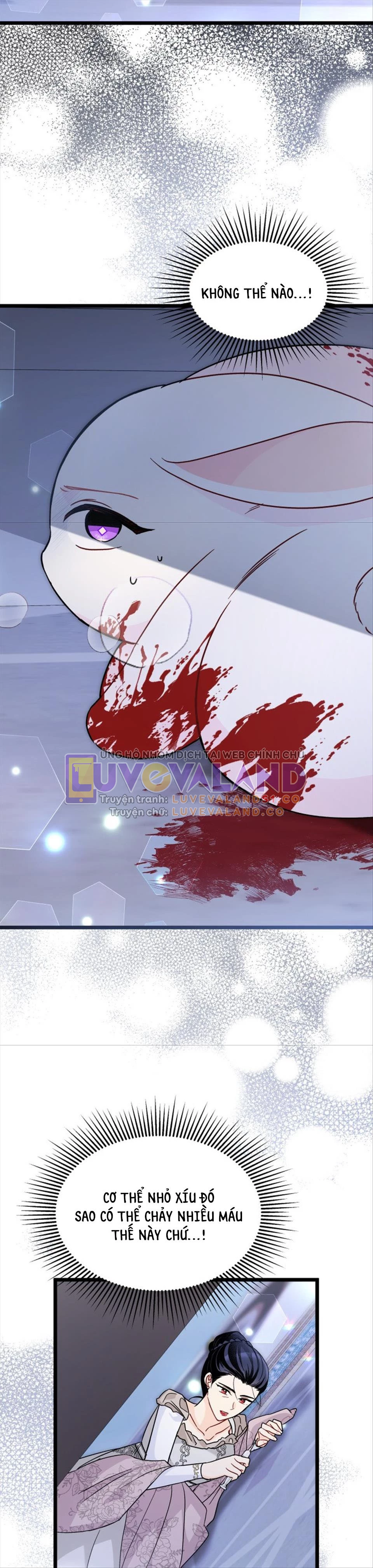 Mối Liên Kết Giữa Báo Đen Và Bé Thỏ Chapter 117 - Trang 2