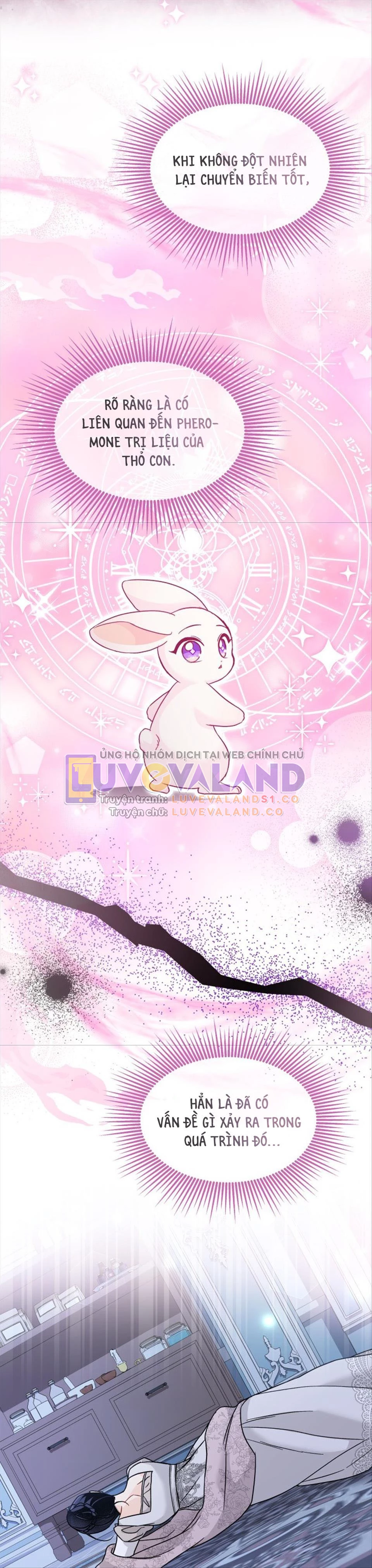 Mối Liên Kết Giữa Báo Đen Và Bé Thỏ Chapter 117 - Trang 2