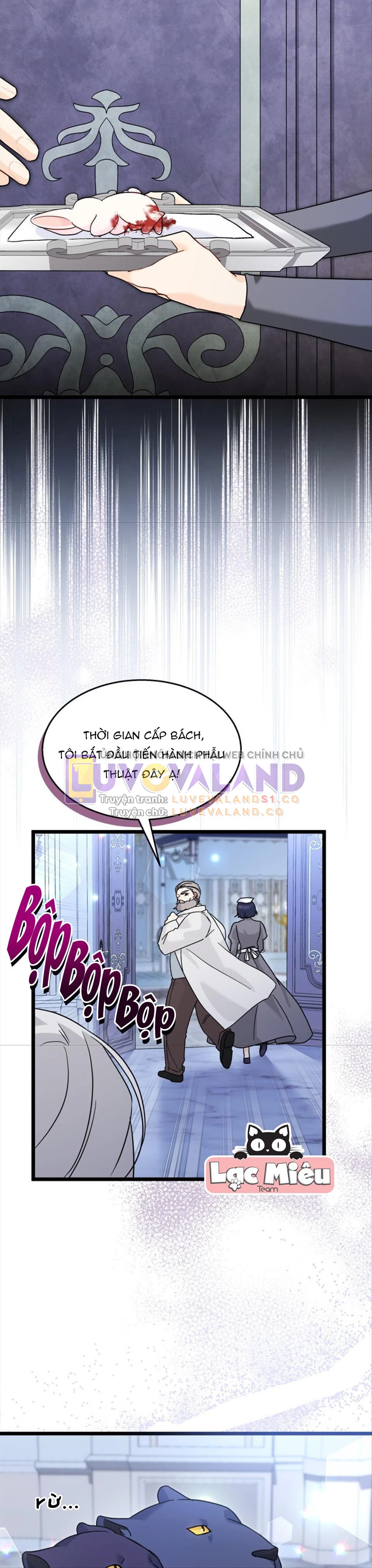 Mối Liên Kết Giữa Báo Đen Và Bé Thỏ Chapter 117 - Trang 2