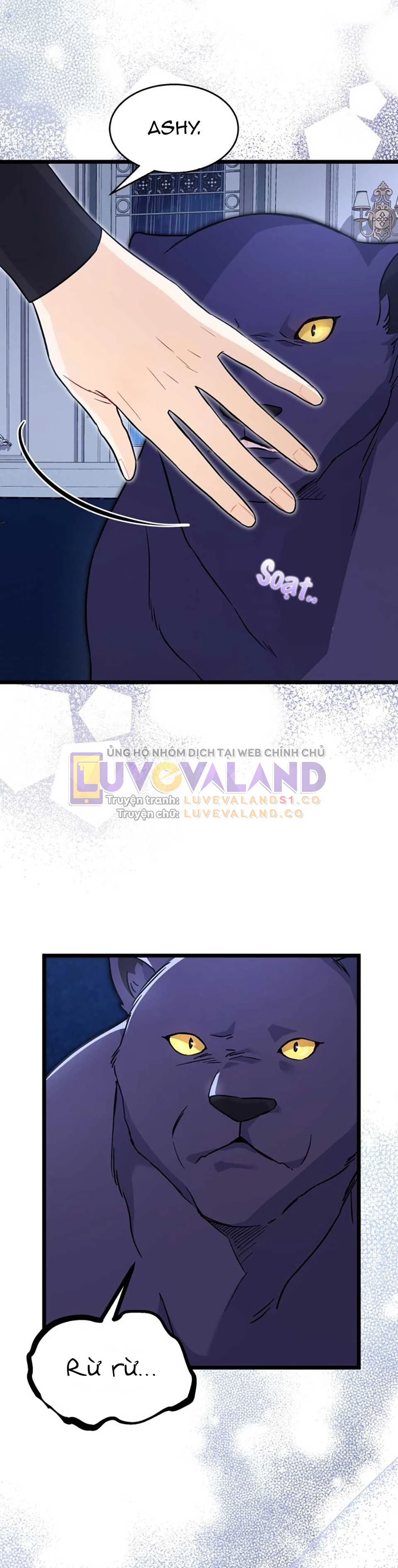 Mối Liên Kết Giữa Báo Đen Và Bé Thỏ Chapter 118 - Trang 2