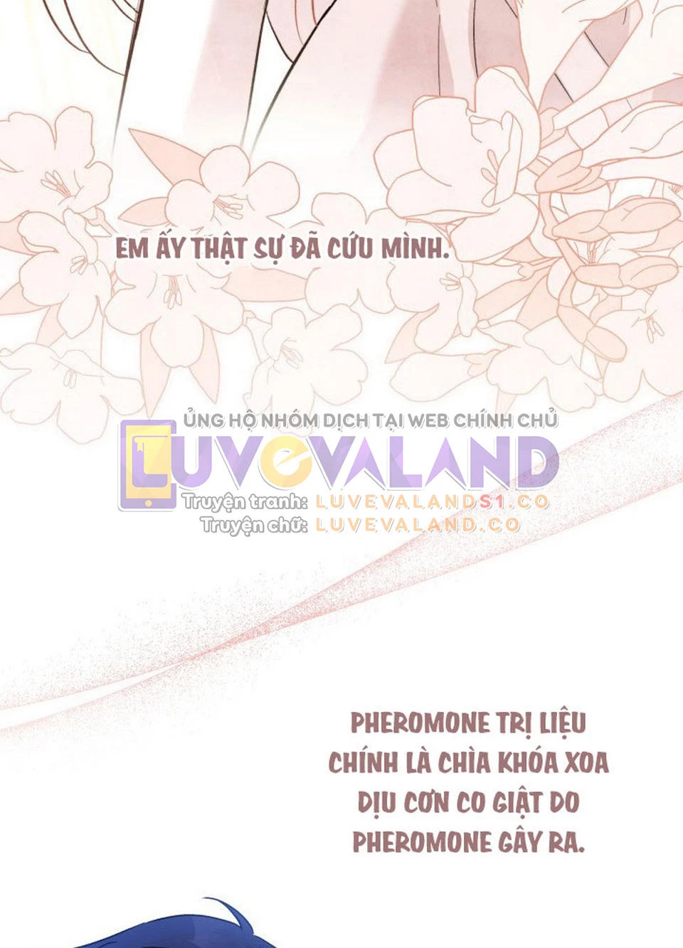 Mối Liên Kết Giữa Báo Đen Và Bé Thỏ Chapter 119 - Trang 2