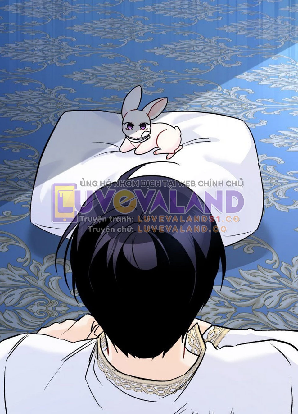 Mối Liên Kết Giữa Báo Đen Và Bé Thỏ Chapter 119 - Trang 2