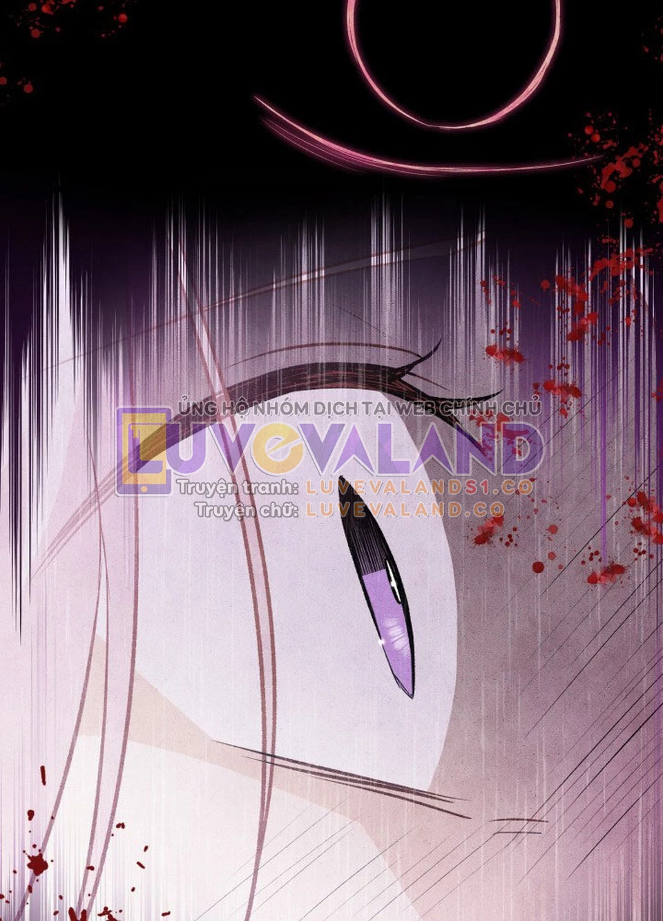 Mối Liên Kết Giữa Báo Đen Và Bé Thỏ Chapter 119 - Trang 2