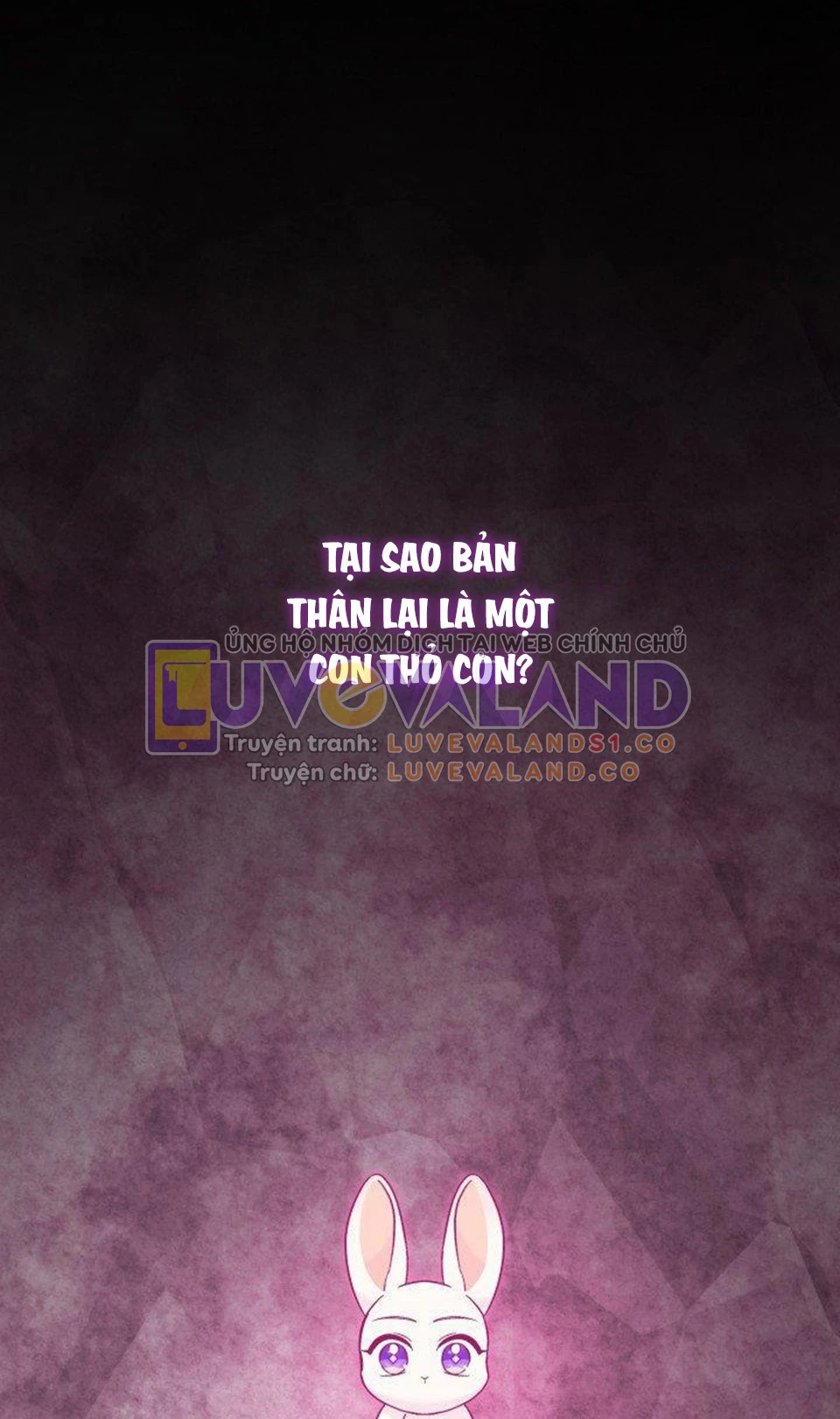 Mối Liên Kết Giữa Báo Đen Và Bé Thỏ Chapter 120 - Trang 2