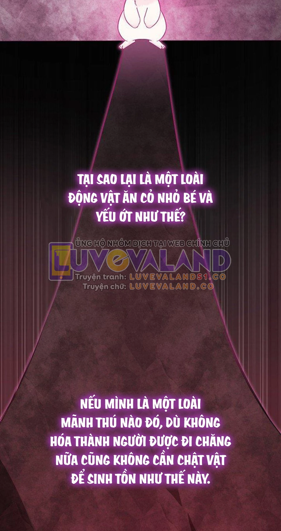 Mối Liên Kết Giữa Báo Đen Và Bé Thỏ Chapter 120 - Trang 2