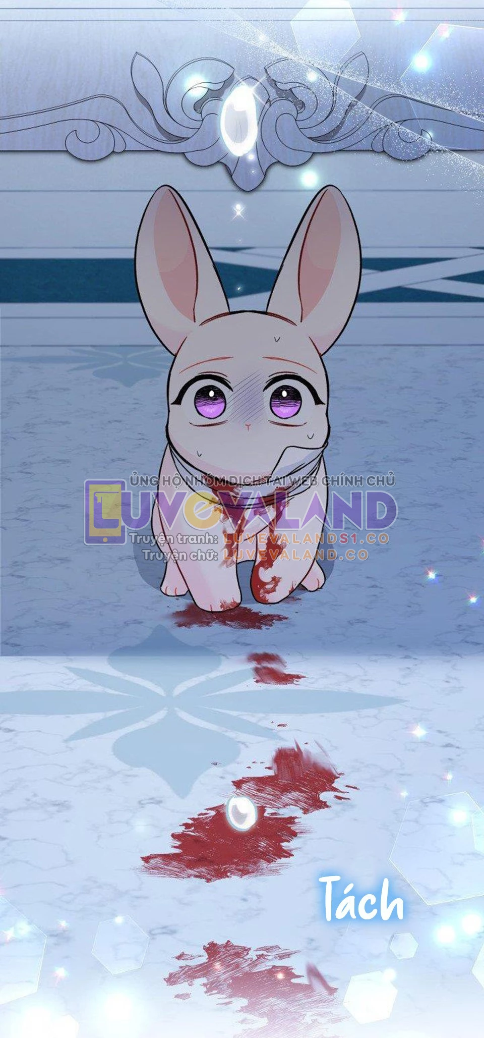 Mối Liên Kết Giữa Báo Đen Và Bé Thỏ Chapter 120 - Trang 2