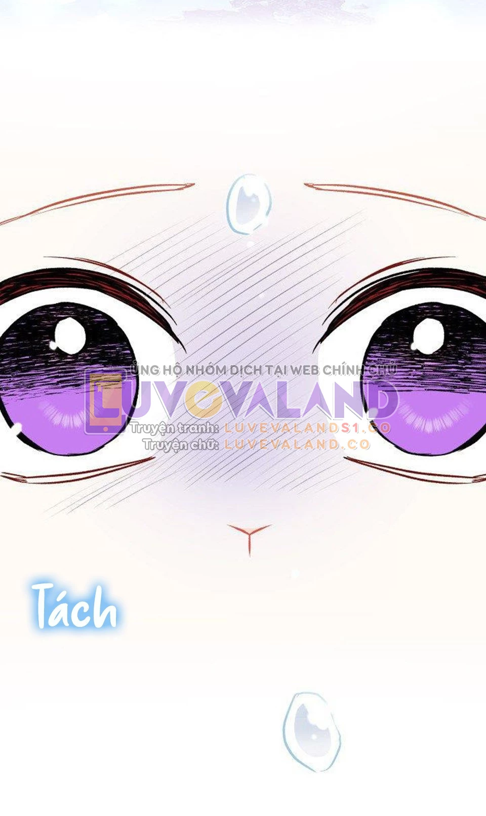 Mối Liên Kết Giữa Báo Đen Và Bé Thỏ Chapter 120 - Trang 2