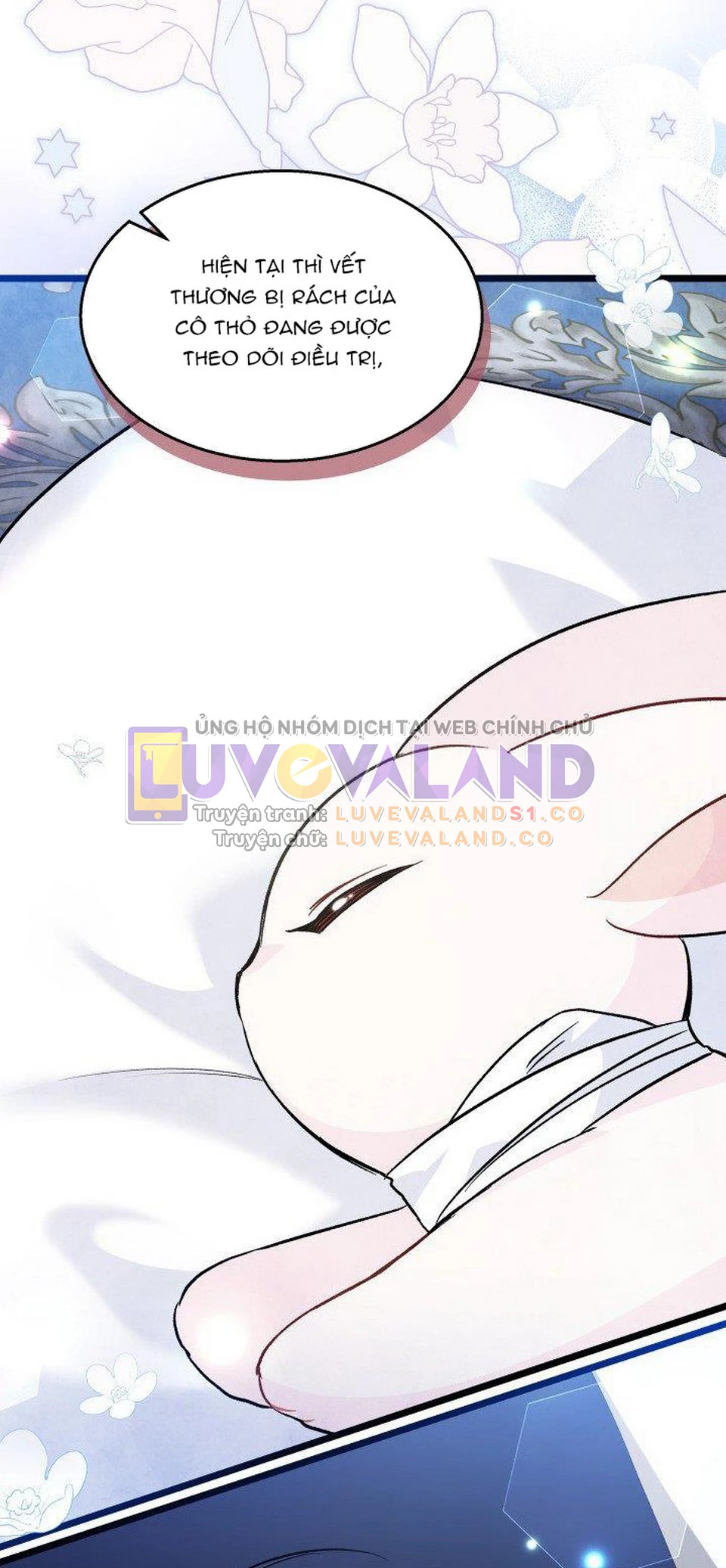 Mối Liên Kết Giữa Báo Đen Và Bé Thỏ Chapter 120 - Trang 2