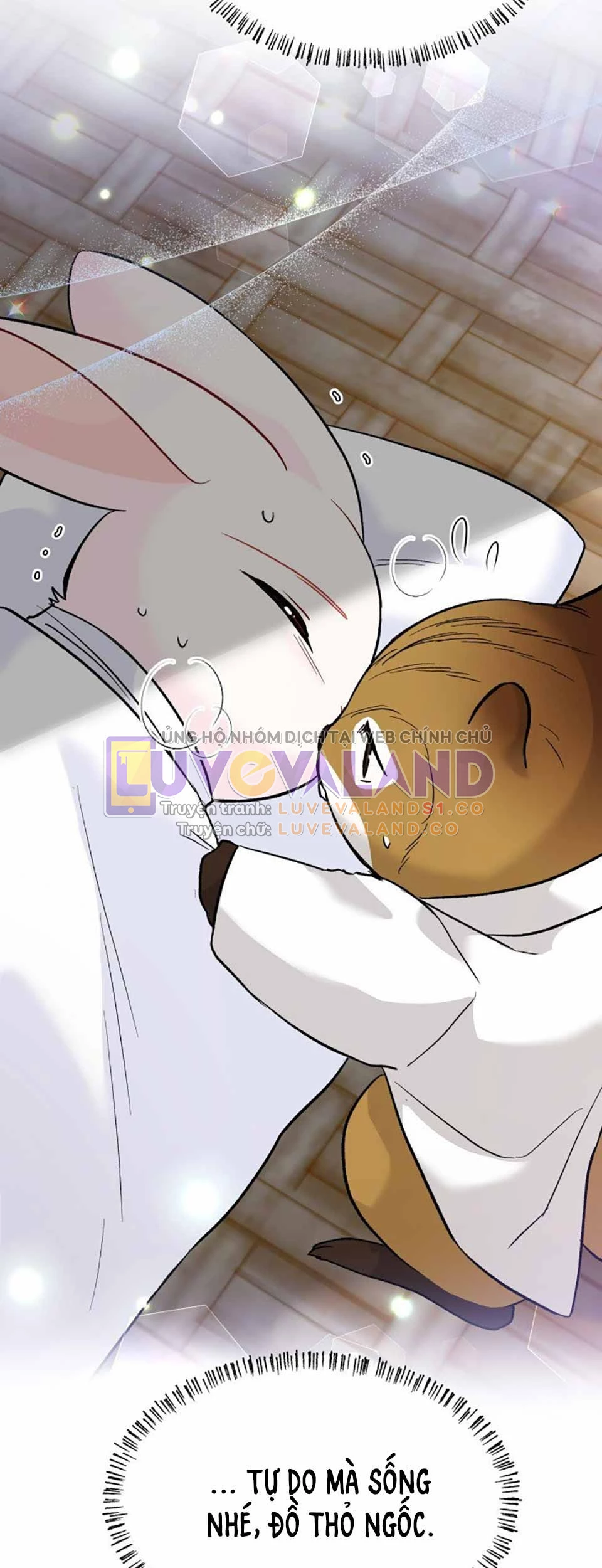 Mối Liên Kết Giữa Báo Đen Và Bé Thỏ Chapter 121 - Trang 2