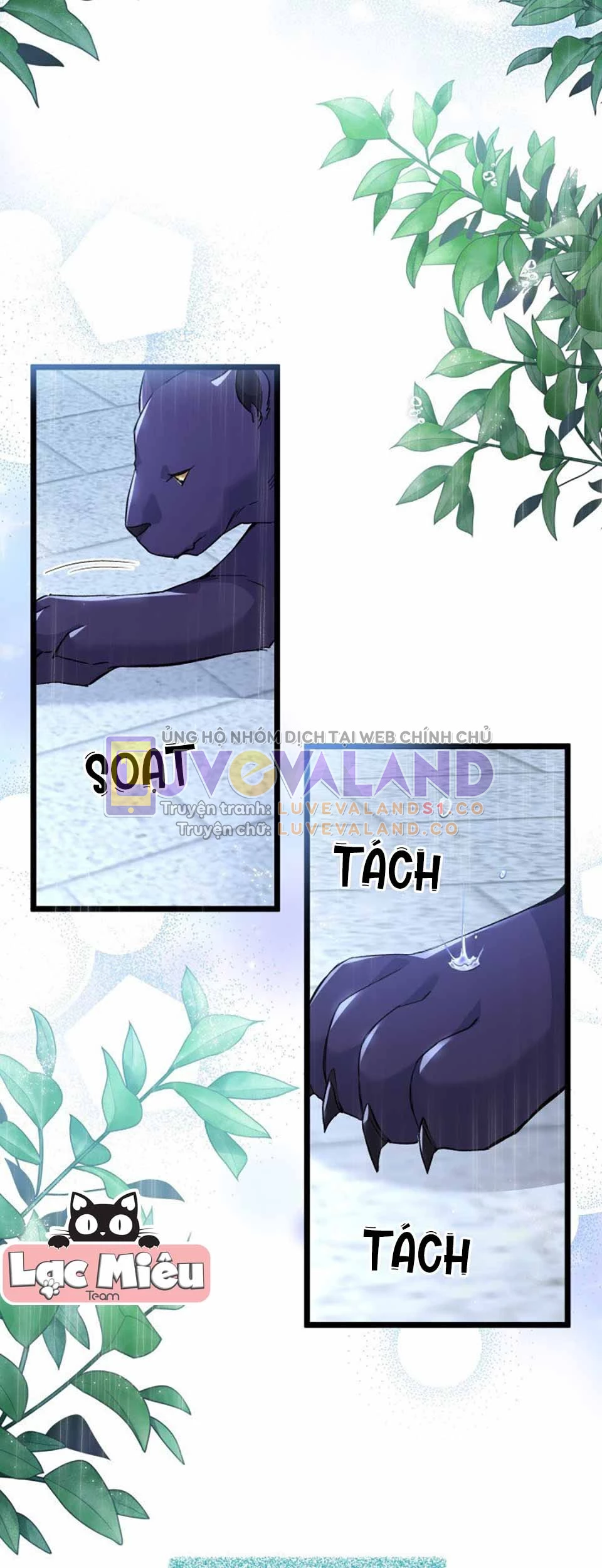 Mối Liên Kết Giữa Báo Đen Và Bé Thỏ Chapter 121 - Trang 2