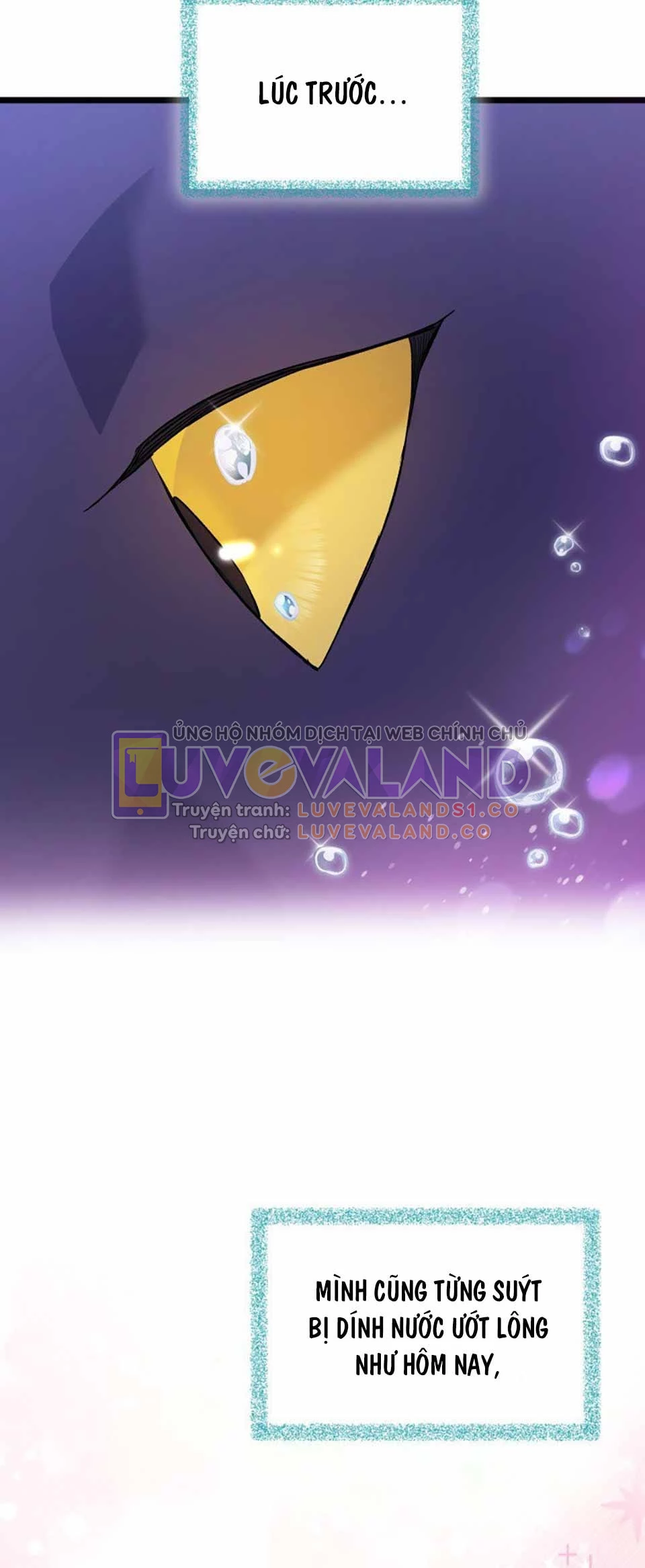 Mối Liên Kết Giữa Báo Đen Và Bé Thỏ Chapter 121 - Trang 2