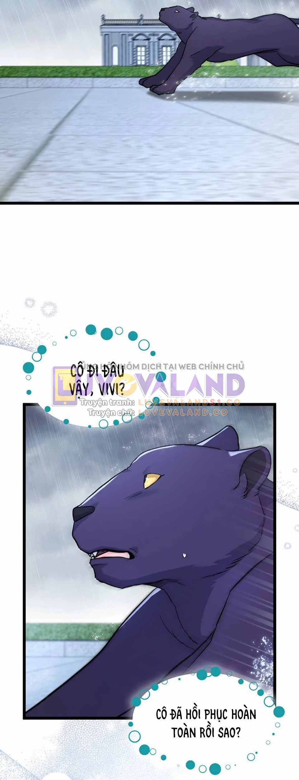 Mối Liên Kết Giữa Báo Đen Và Bé Thỏ Chapter 121 - Trang 2