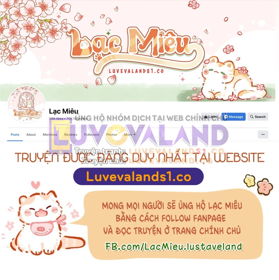 Mối Liên Kết Giữa Báo Đen Và Bé Thỏ Chapter 122 - Trang 2