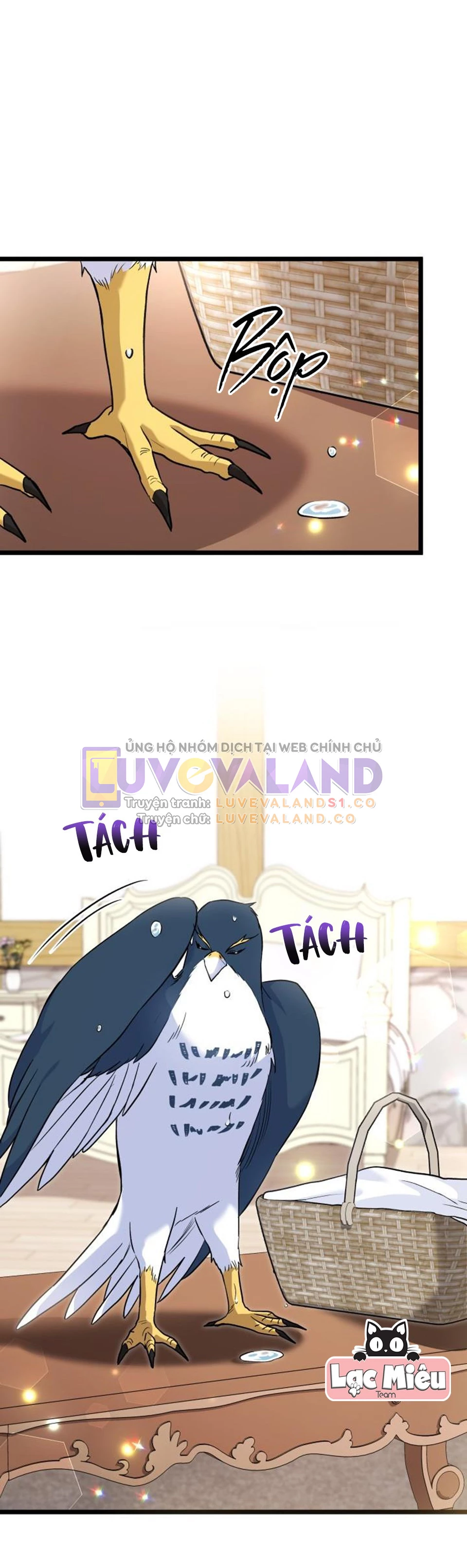Mối Liên Kết Giữa Báo Đen Và Bé Thỏ Chapter 122 - Trang 2