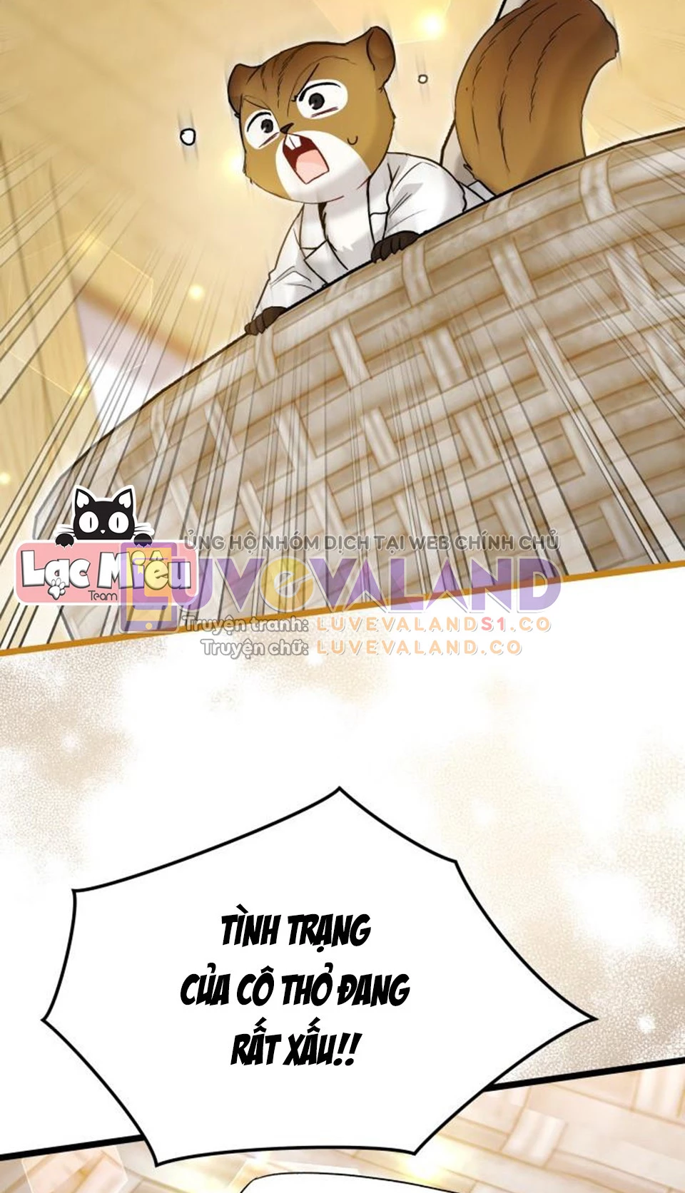 Mối Liên Kết Giữa Báo Đen Và Bé Thỏ Chapter 122 - Trang 2