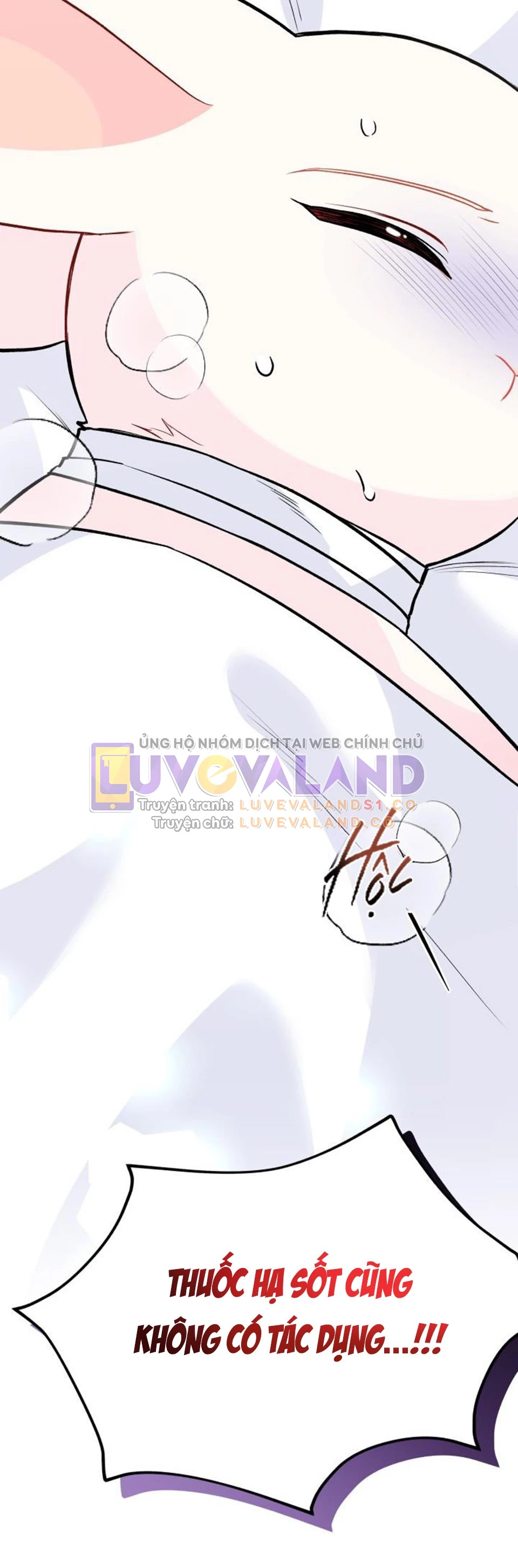 Mối Liên Kết Giữa Báo Đen Và Bé Thỏ Chapter 122 - Trang 2