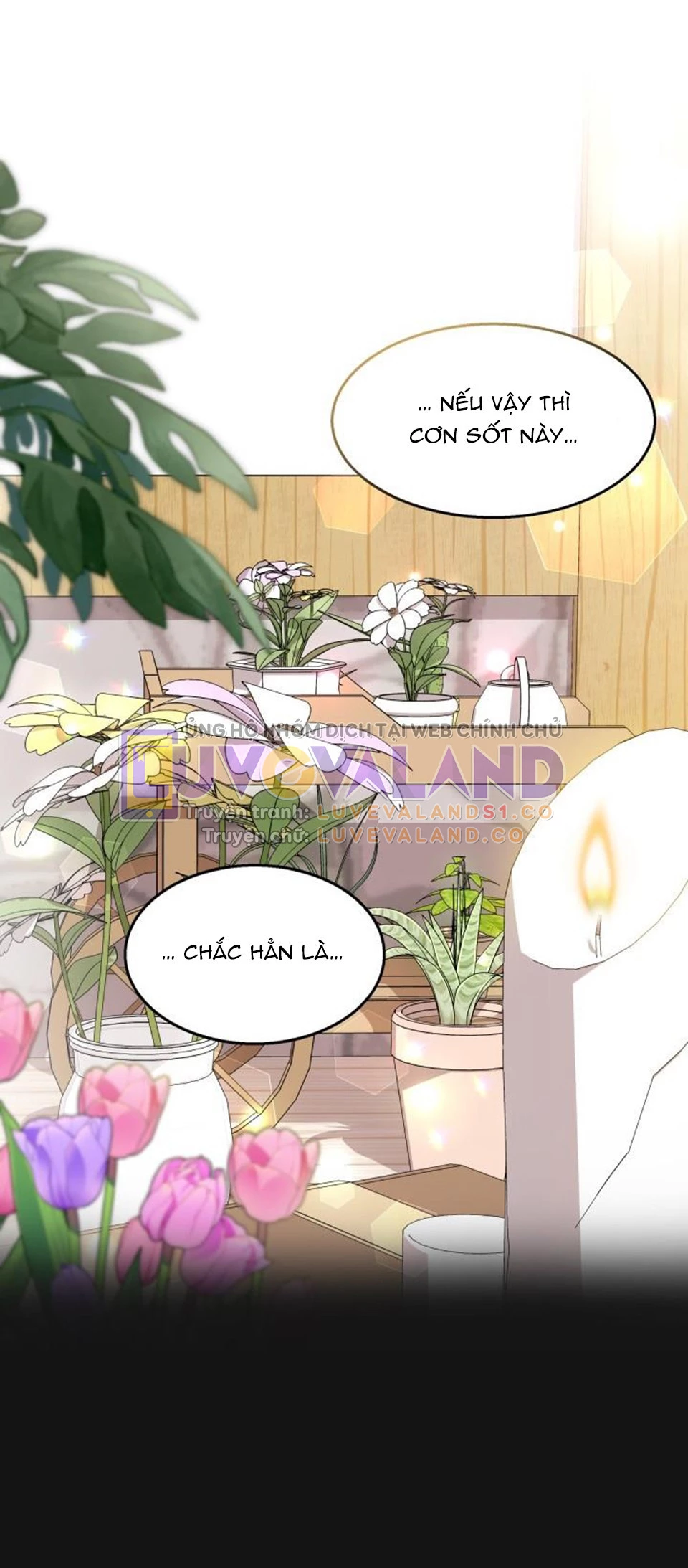 Mối Liên Kết Giữa Báo Đen Và Bé Thỏ Chapter 122 - Trang 2