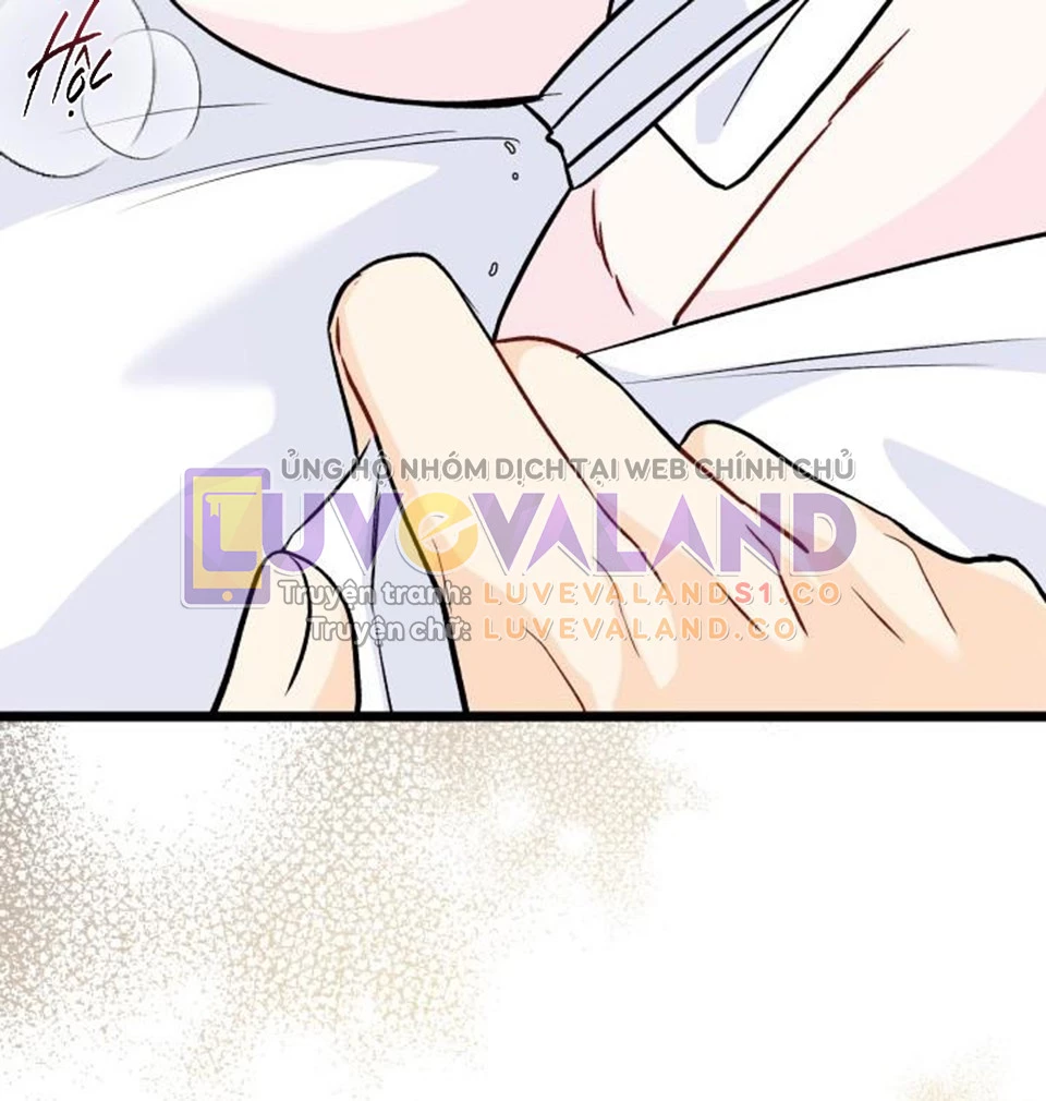 Mối Liên Kết Giữa Báo Đen Và Bé Thỏ Chapter 122 - Trang 2