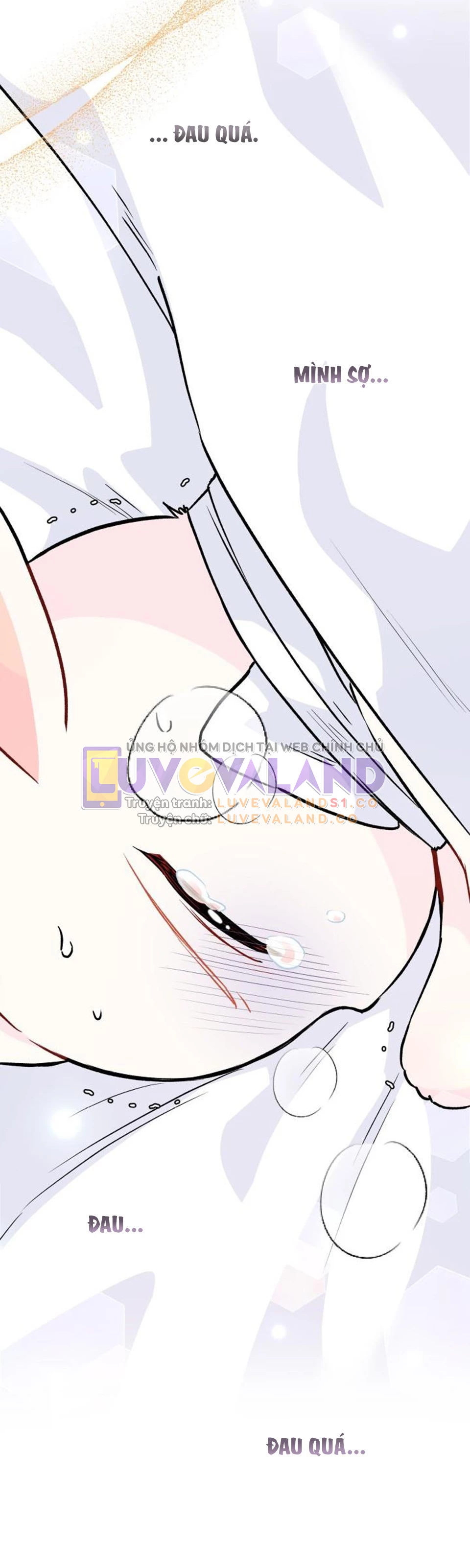 Mối Liên Kết Giữa Báo Đen Và Bé Thỏ Chapter 122 - Trang 2