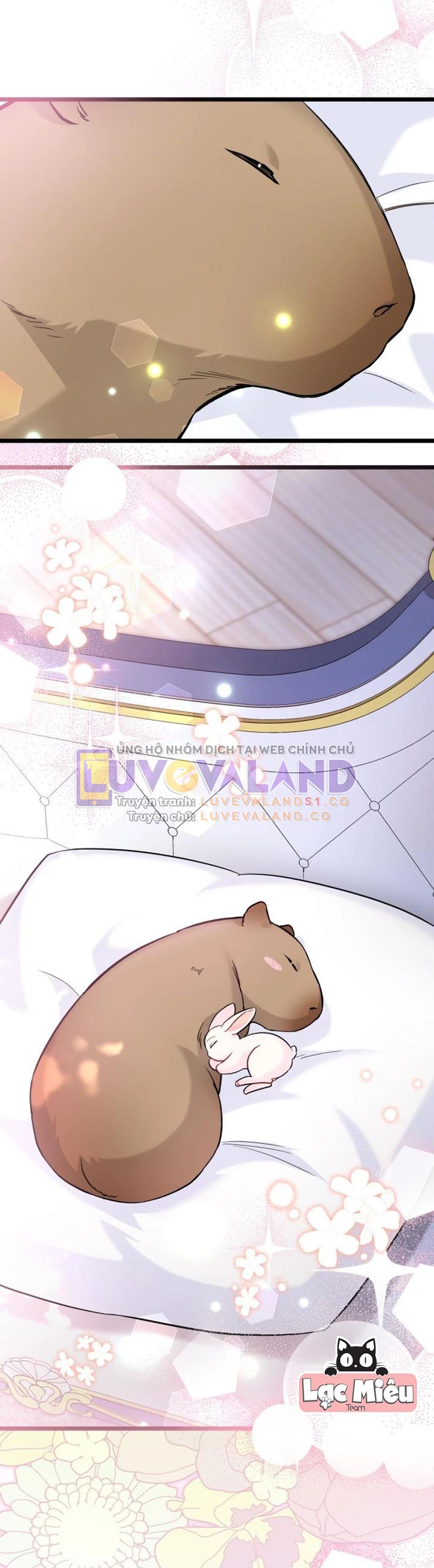 Mối Liên Kết Giữa Báo Đen Và Bé Thỏ Chapter 122 - Trang 2