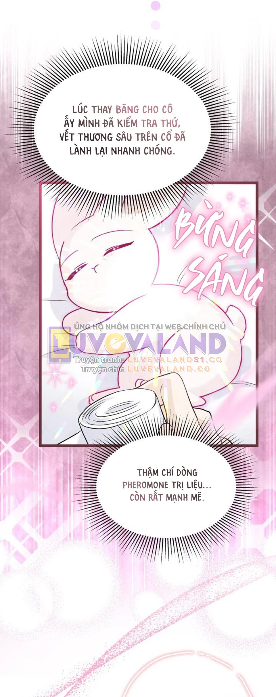 Mối Liên Kết Giữa Báo Đen Và Bé Thỏ Chapter 122 - Trang 2