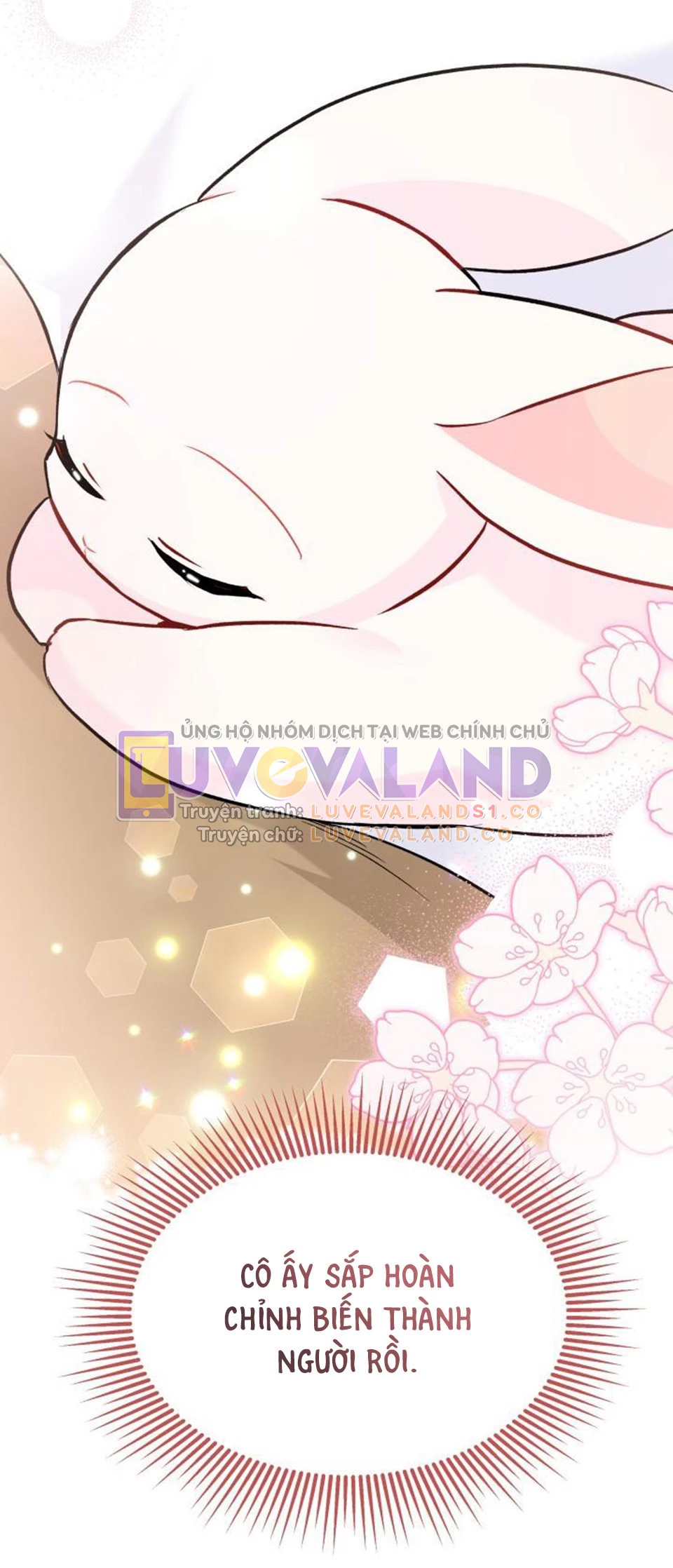 Mối Liên Kết Giữa Báo Đen Và Bé Thỏ Chapter 122 - Trang 2