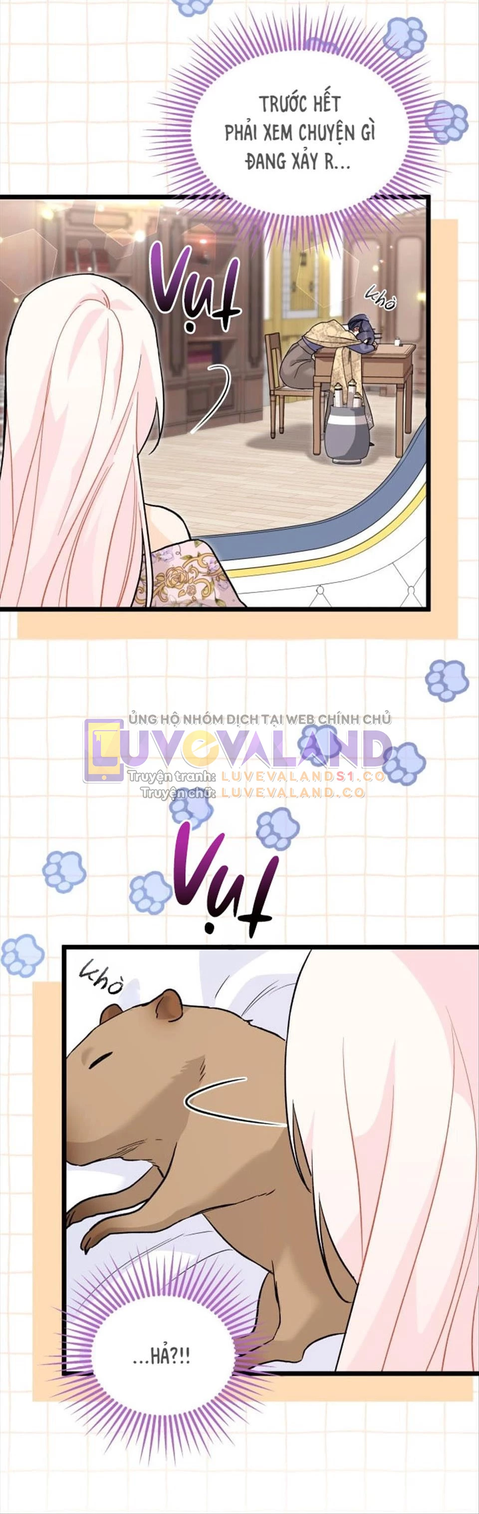 Mối Liên Kết Giữa Báo Đen Và Bé Thỏ Chapter 123 - Trang 2