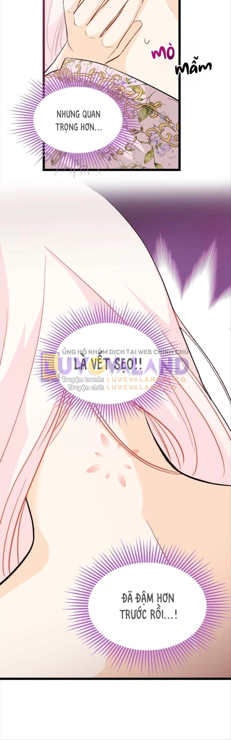 Mối Liên Kết Giữa Báo Đen Và Bé Thỏ Chapter 123 - Trang 2