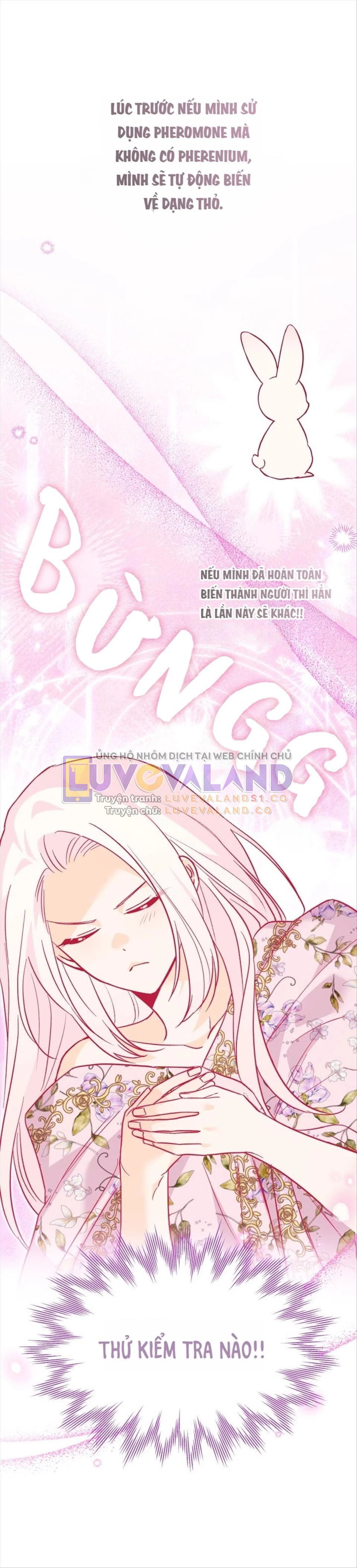 Mối Liên Kết Giữa Báo Đen Và Bé Thỏ Chapter 123 - Trang 2