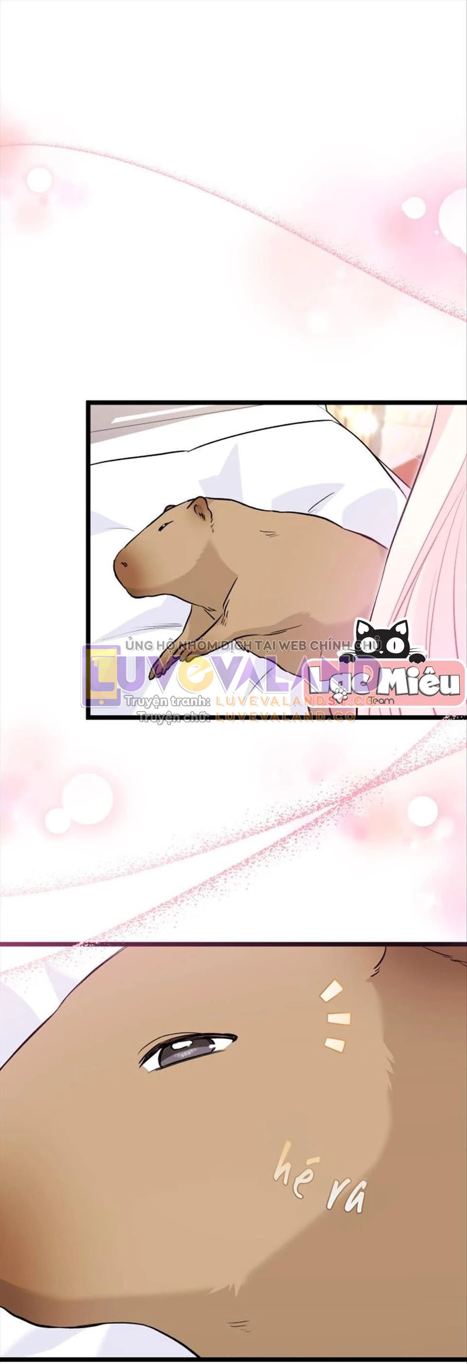 Mối Liên Kết Giữa Báo Đen Và Bé Thỏ Chapter 123 - Trang 2