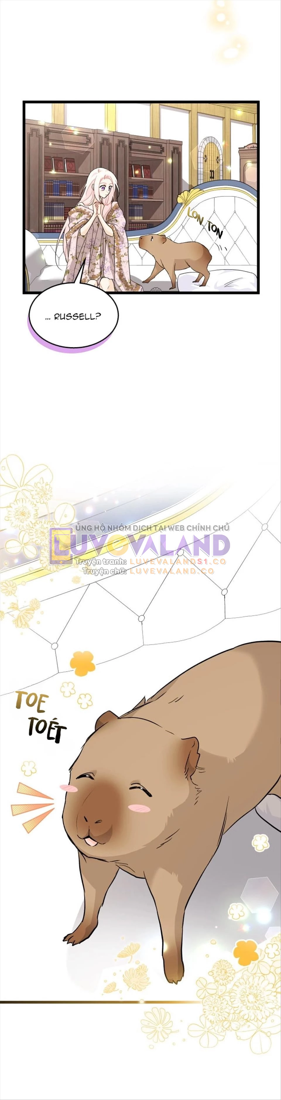 Mối Liên Kết Giữa Báo Đen Và Bé Thỏ Chapter 123 - Trang 2