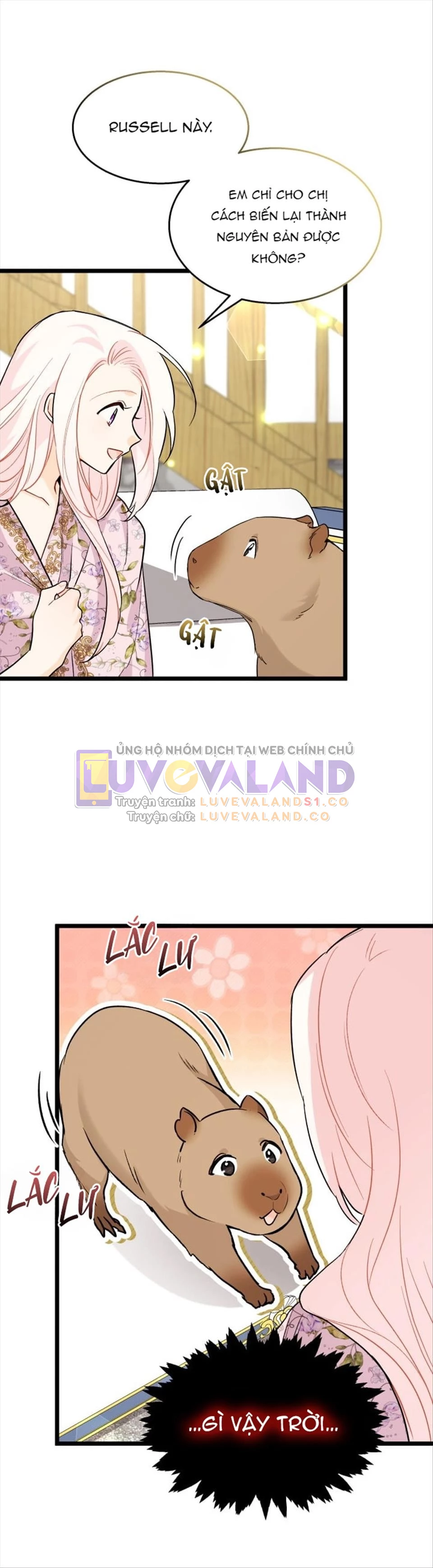 Mối Liên Kết Giữa Báo Đen Và Bé Thỏ Chapter 123 - Trang 2