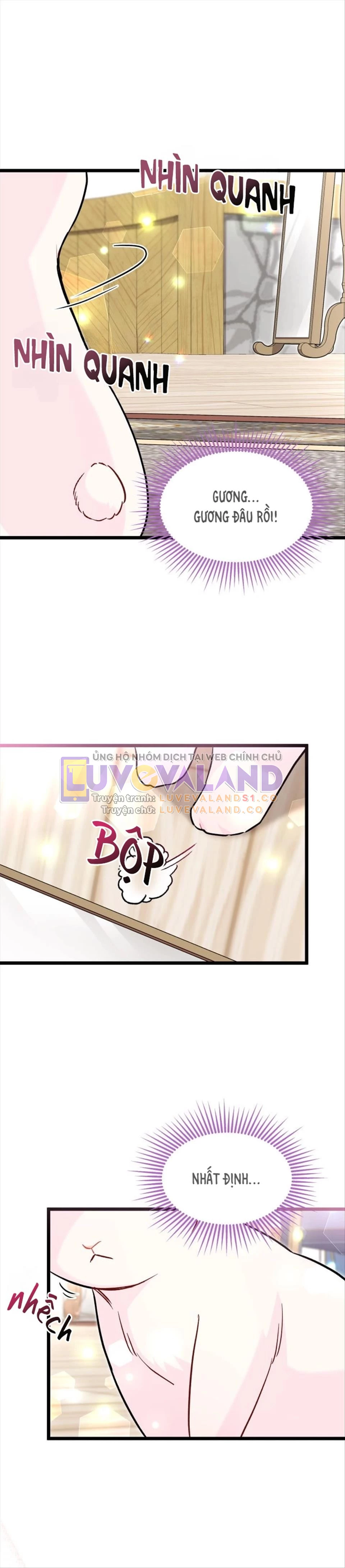 Mối Liên Kết Giữa Báo Đen Và Bé Thỏ Chapter 123 - Trang 2