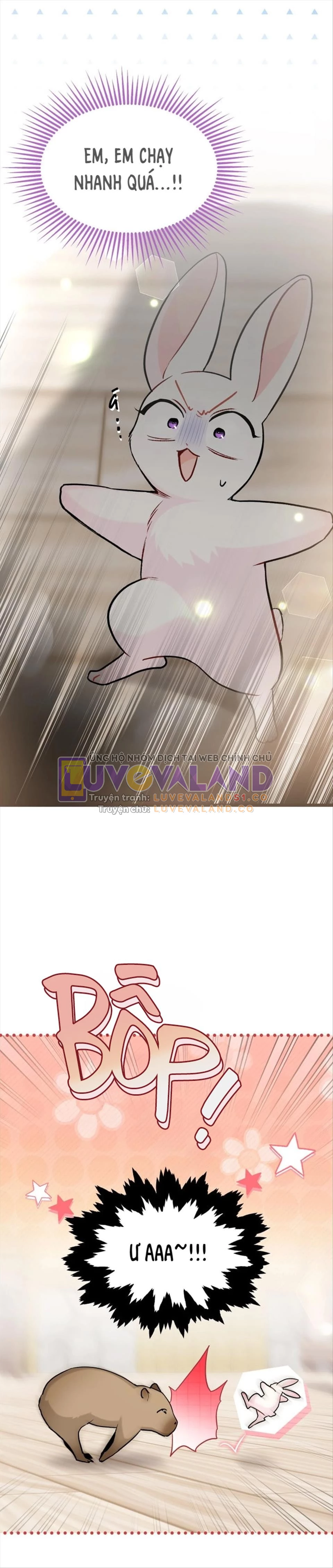 Mối Liên Kết Giữa Báo Đen Và Bé Thỏ Chapter 123 - Trang 2