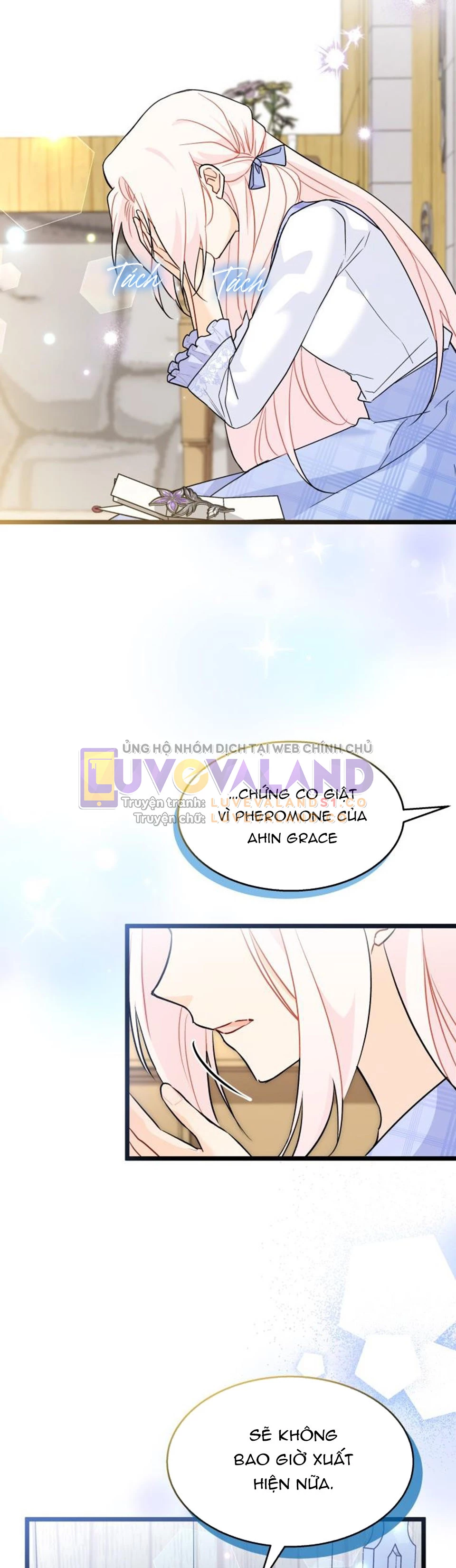 Mối Liên Kết Giữa Báo Đen Và Bé Thỏ Chapter 124 - Trang 2