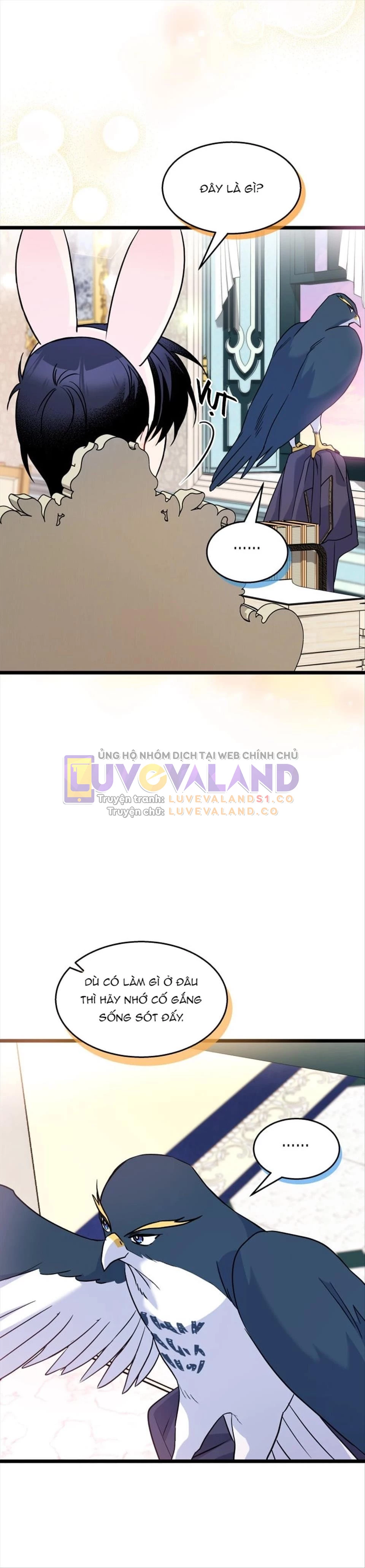Mối Liên Kết Giữa Báo Đen Và Bé Thỏ Chapter 125 - Trang 2
