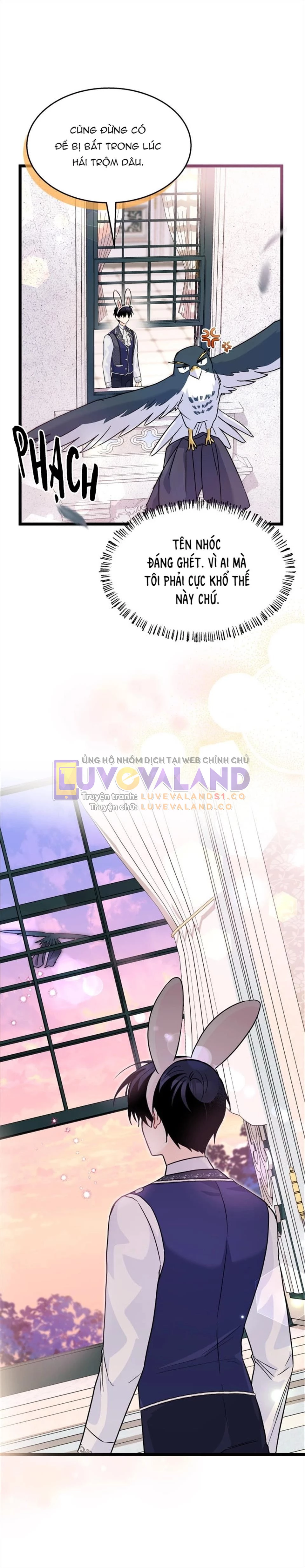 Mối Liên Kết Giữa Báo Đen Và Bé Thỏ Chapter 125 - Trang 2