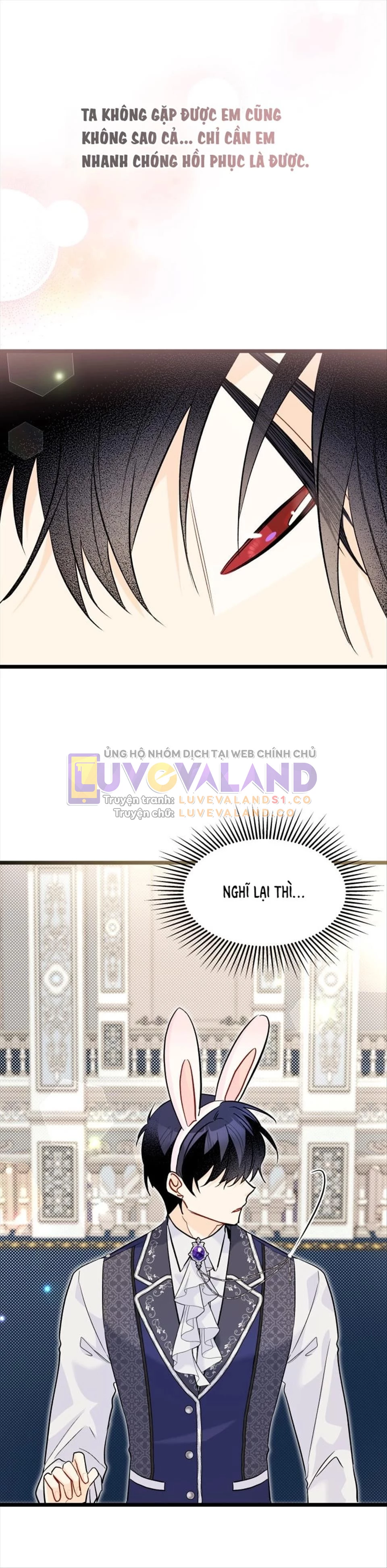 Mối Liên Kết Giữa Báo Đen Và Bé Thỏ Chapter 125 - Trang 2