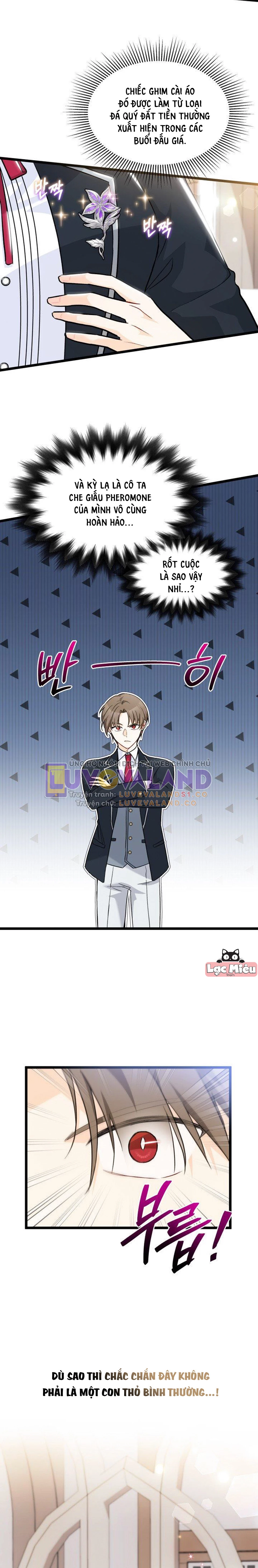 Mối Liên Kết Giữa Báo Đen Và Bé Thỏ Chapter 126 - Trang 2