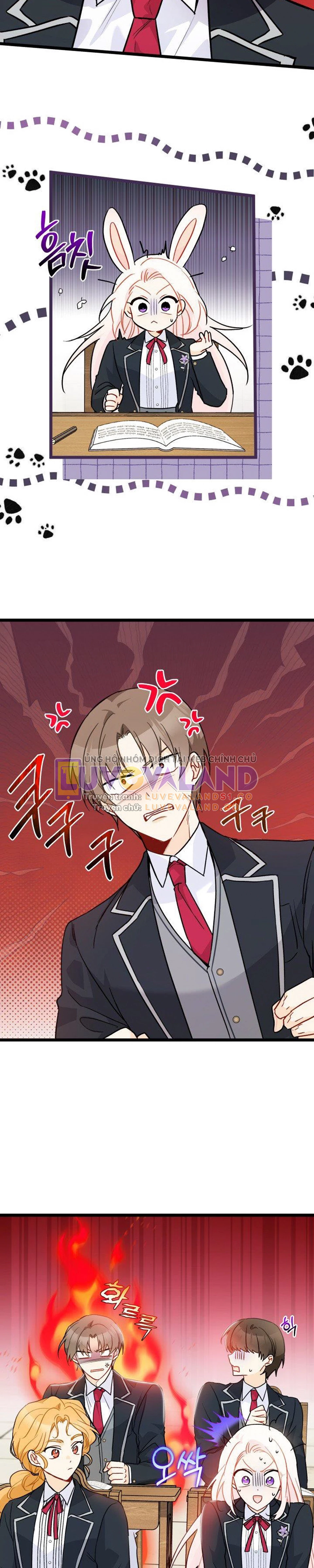 Mối Liên Kết Giữa Báo Đen Và Bé Thỏ Chapter 126 - Trang 2