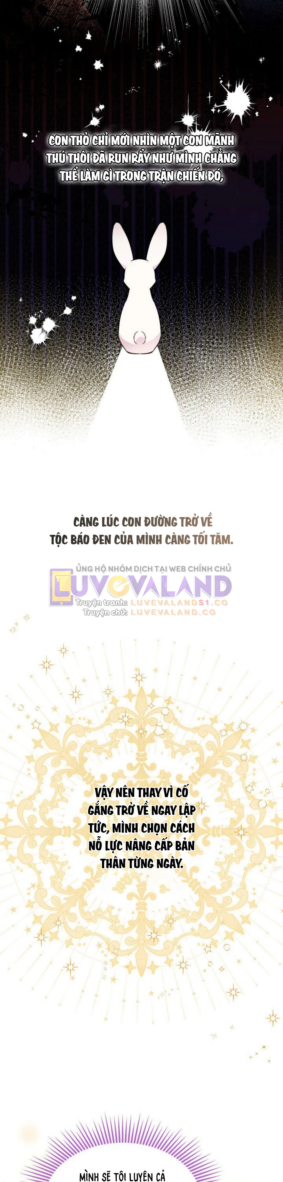 Mối Liên Kết Giữa Báo Đen Và Bé Thỏ Chapter 127 - Trang 2