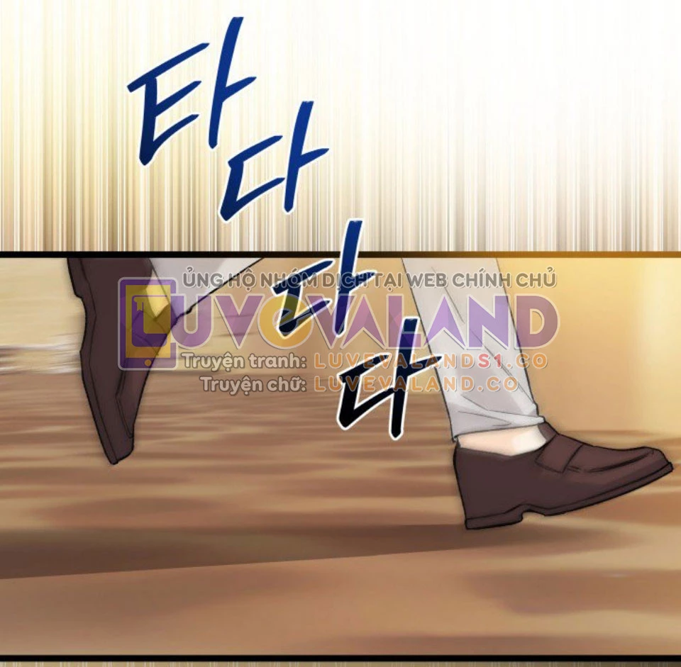 Mối Liên Kết Giữa Báo Đen Và Bé Thỏ Chapter 127 - Trang 2