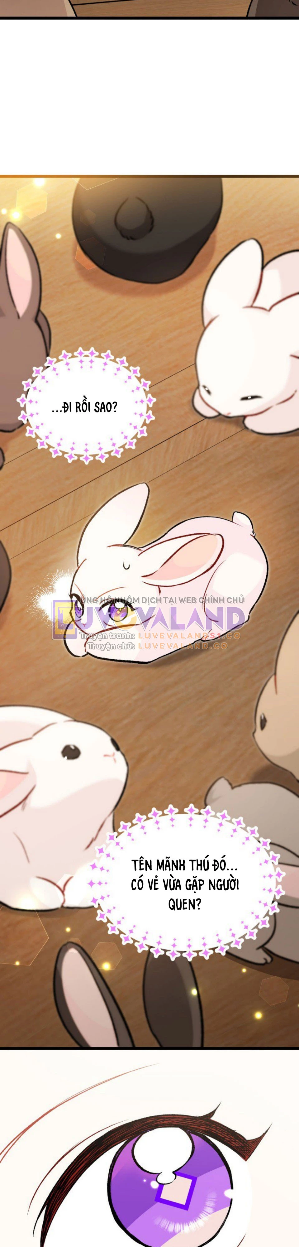 Mối Liên Kết Giữa Báo Đen Và Bé Thỏ Chapter 127 - Trang 2