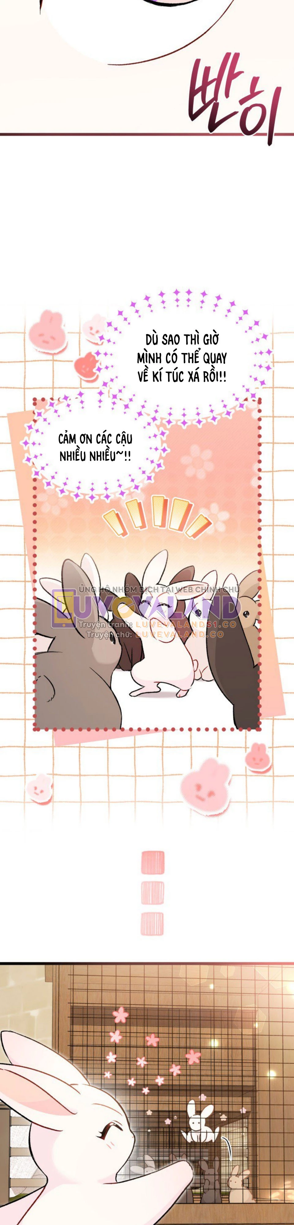 Mối Liên Kết Giữa Báo Đen Và Bé Thỏ Chapter 127 - Trang 2