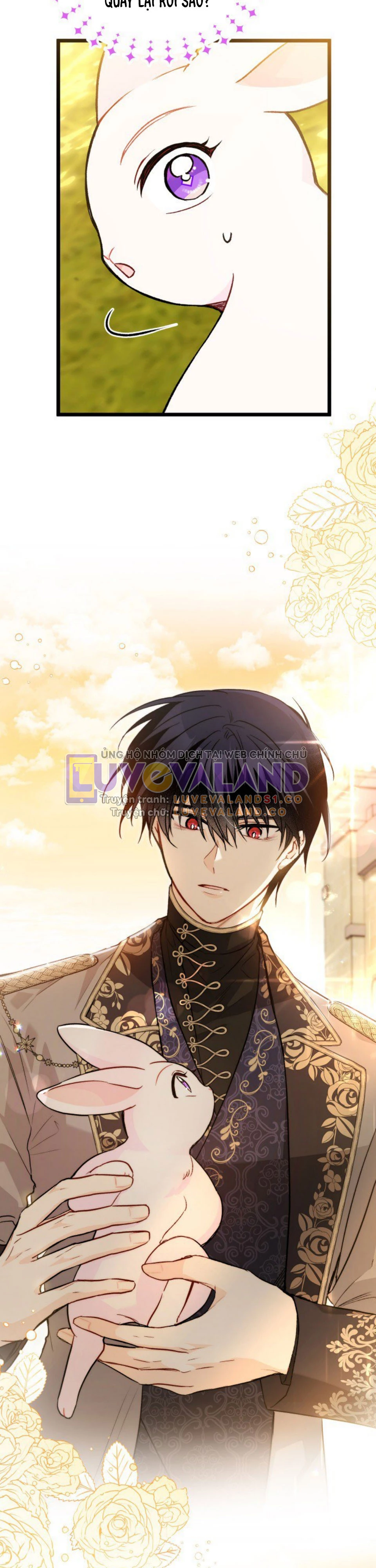 Mối Liên Kết Giữa Báo Đen Và Bé Thỏ Chapter 127 - Trang 2